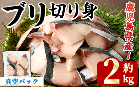 ブリの切り身(真空パック・約2kg) 国産 鹿児島県産 ブリ 鰤 魚貝 魚介 海産物 焼き魚 煮つけ ブリカツ 真空 【株式会社島水】akn102-04