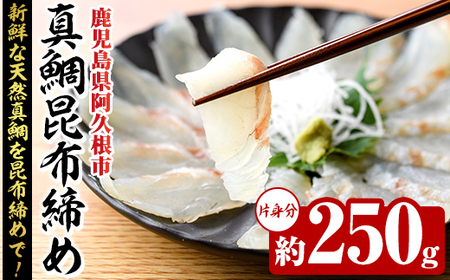 真鯛昆布締め(約250g) 鹿児島県 阿久根市 たい タイ 真鯛 魚貝 魚介 海産物 昆布〆 風味 旨味 おかず おつまみ 【さるがく水産】akn028-48