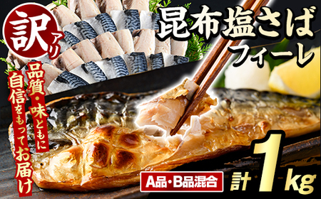 訳あり！昆布塩さばフィーレ(A品B品混合・計1kg) サバ 鯖 おかず おつまみ 惣菜 焼き魚 切り身 昆布 ご家庭用 リピート 【グローバルフーズ】akn061-23