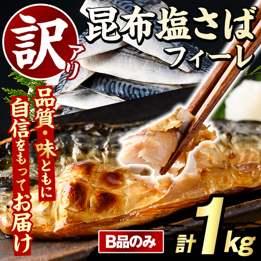 訳あり！昆布塩さばフィーレ(B品のみ・計1kg) サバ 鯖 おかず おつまみ 惣菜 焼き魚 切り身 昆布 ご家庭用 リピート 【グローバルフーズ】akn061-27