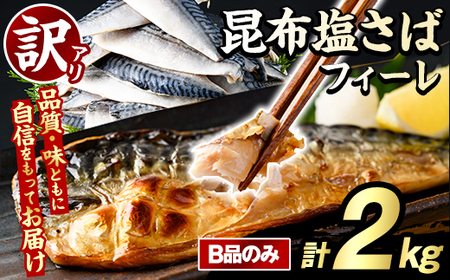 訳あり！昆布塩さばフィーレ(B品のみ・計2kg) サバ 鯖 おかず おつまみ 惣菜 焼き魚 切り身 昆布 ご家庭用 リピート 【グローバルフーズ】akn061-28