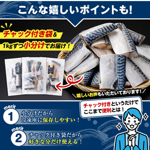 訳あり・傷あり ご家庭用さば切身パック(計1kg・瀬戸内塩レモン鯖) サバ 鯖 海産物 海鮮 おかず 惣菜 焼き魚 切り身 ジップロック チャック付き袋 簡単調理 【グローバルフーズ】akn061-32