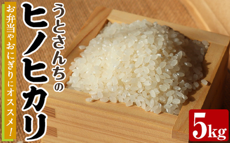 ヒノヒカリ (5kg) 国産 米 お米 コメ 白米 ひのひかり ごはん ご飯 お弁当 おにぎり 【うとさんち】akn067-19