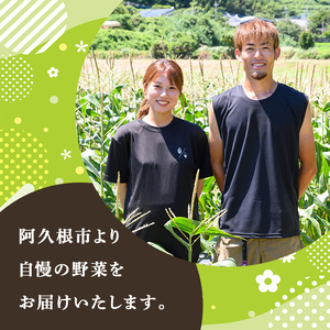 ヒノヒカリ (5kg) 国産 米 お米 コメ 白米 ひのひかり ごはん ご飯 お弁当 おにぎり 【うとさんち】akn067-19