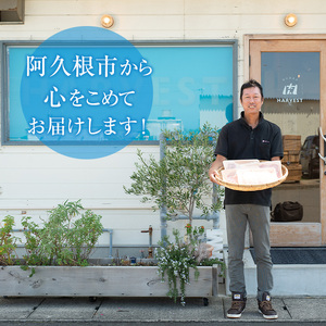 数量限定！日本蜜蜂 はちみつ(300g) 国産 蜂蜜 ハチミツ 日本ミツバチ 非加熱 ハニー ボトル 【三九】akn006-17