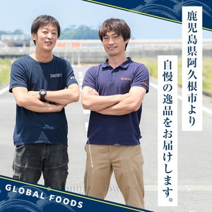 骨取り 塩あじ 切身 (計1.5kg・1回) 大容量 アジ 鯵 骨ぬき 骨抜き 骨なし 海産物 海鮮 おかず 惣菜 焼き魚 お弁当 切り身 ジップロック チャック付き袋 小分け 簡単調理 【グローバルフーズ】akn061-49