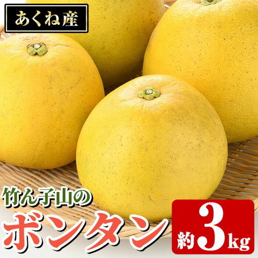 竹ん子山のボンタン(約3kg) 国産 鹿児島県産 阿久根産 柑橘 果物 フルーツ ぼんたん 文旦 果実 期間限定 【竹ん子山】akn097-11