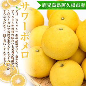 まなべみかん園のサワーポメロ (約9.5kg) 国産 鹿児島県産 阿久根市産 柑橘類 みかん ミカン 蜜柑 果物 フルーツ サワーポメロ 期間限定 数量限定 贈答用 ギフト デザート 【有限会社まなべみかん園】akn034-07