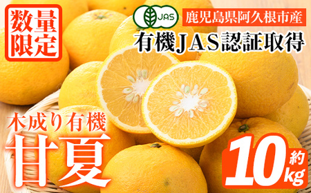 数量限定！有機JAS 木成り甘夏(約10kg) 国産 果実 果物 フルーツ 柑橘 デザート きなり 木なり あまなつ みかん ミカン 蜜柑 期間限定 有機栽培 【中村農場】akn084-10