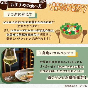 数量限定！有機JAS 木成り甘夏(約10kg) 国産 果実 果物 フルーツ 柑橘 デザート きなり 木なり あまなつ みかん ミカン 蜜柑 期間限定 有機栽培 【中村農場】akn084-10