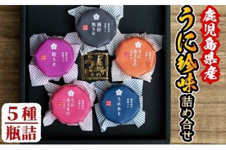 鹿児島県産うに使用！人気のうに珍味 阿久根の五宝海(ごほうび)セット(5瓶) ムラサキウニ 酒好熟うに 粒うに うに味噌 あわびうに いかうに 詰め合わせ 食べ比べ 贈答用 ギフト 贈り物 花姫うに おつまみ ウニ 珍味 国産 鹿児島県産【尾塚水産】akn004-18