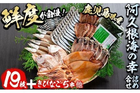 鹿児島県産！干物詰め合わせ＜8種＞国産 九州産 鹿児島産 干物 ひもの 乾物　鯛 タイ 鯵 アジ かます いか きびなご ウルメ あおさのり セット 詰合せ【又間水産】akn001-06