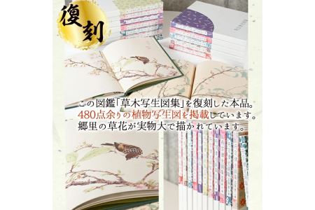 丹宗律光画集(全12巻)美術品 丹宗律光 画集 絵画 図鑑 古書 書籍【生涯学習課】a-36-11 | 鹿児島県阿久根市 |  ふるさと納税サイト「ふるなび」