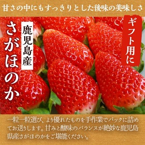 <先行予約受付中!2026年1月中旬以降順次発送予定>鹿児島県産いちご(さがほのか「秀大」・計約1.4kg・40粒×2箱) 鹿児島 阿久根 果物 フルーツ イチゴ いちご 苺 さがほのか デザート おやつ 期間限定【鹿児島いずみ農業協同組合】akn018-21