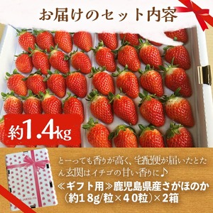 <先行予約受付中!2026年1月中旬以降順次発送予定>鹿児島県産いちご(さがほのか「秀大」・計約1.4kg・40粒×2箱) 鹿児島 阿久根 果物 フルーツ イチゴ いちご 苺 さがほのか デザート おやつ 期間限定【鹿児島いずみ農業協同組合】akn018-21