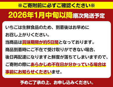 <先行予約受付中!2026年1月中旬以降順次発送予定>鹿児島県産いちご(さがほのか「秀大」・計約1.4kg・40粒×2箱) 鹿児島 阿久根 果物 フルーツ イチゴ いちご 苺 さがほのか デザート おやつ 期間限定【鹿児島いずみ農業協同組合】akn018-21