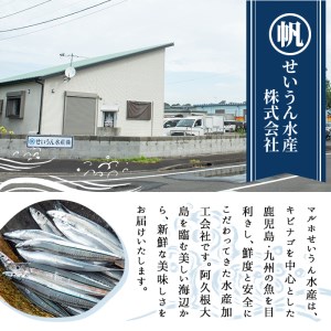 鹿児島県産！あくねキビナゴづくし(3種)生きびなご、一夜干し、刺身をセットに冷凍でお届け！魚介類 海鮮 海の幸 きびなご キビナゴ 刺し身 さしみ 一夜干し【マルホせいうん水産】a-24-19