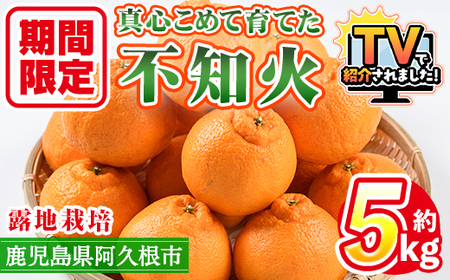 <先行予約受付中!2026年3月上旬以降順次発送予定>数量限定!鹿児島県産 露地栽培の不知火(計約5kg:大将季) 国産 みかん ミカン 柑橘 フルーツ 果物 旬 デザート 数量限定 期間限定 露地 阿久根市産 しらぬい シラヌイ【三笠農業生産】akn051-10