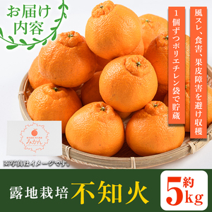 <先行予約受付中!2026年3月上旬以降順次発送予定>数量限定!鹿児島県産 露地栽培の不知火(計約5kg:大将季) 国産 みかん ミカン 柑橘 フルーツ 果物 旬 デザート 数量限定 期間限定 露地 阿久根市産 しらぬい シラヌイ【三笠農業生産】akn051-10