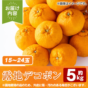 ＜先行予約受付中！2026年3月以降順次発送予定＞鹿児島県産！露地デコポン(約5kg・15～24玉) 果物 冬 春 柑橘 みかん 蜜柑 フルーツ 期間限定 数量限定【鹿児島いずみ農業協同組合】akn018-10
