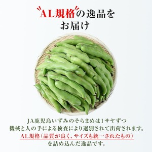 ＜先行予約受付中！2025年4月上旬以降順次発送予定＞春の味覚の鹿児島県産そらまめ(4kg) 大容量 国産 野菜 そら豆 ソラマメ セット 詰合せ 詰め合わせ 春 旬 ベジタブル 【鹿児島いずみ農業協同組合】a-14-61-z