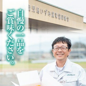 ＜先行予約受付中！2025年4月上旬以降順次発送予定＞春の味覚の鹿児島県産そらまめ(4kg) 大容量 国産 野菜 そら豆 ソラマメ セット 詰合せ 詰め合わせ 春 旬 ベジタブル 【鹿児島いずみ農業協同組合】a-14-61-z