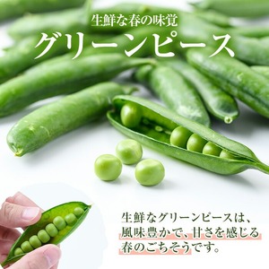 AL規格の鹿児島県産グリーンピース(実えんどう)(計2kg) 国産 野菜 エンドウ 豆 セット 詰合せ 詰め合わせ 春 野菜 旬【鹿児島いずみ農業協同組合】akn018-06