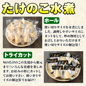Akune 2 36 たけのこ美味だより 筍水煮やたけのこご飯の素など6種のセット 簡単調理でごはんのおかずに 竹籠付きだから贈り物にもピッタリ 上野食品 2 36 鹿児島県阿久根市 ふるさと納税サイト ふるなび