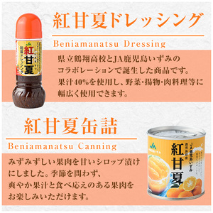 濃厚な果汁！大将季・紅甘夏ジュース 缶詰＆ドレッシングセット(4種)鹿児島県 阿久根 柑橘 蜜柑 みかん ミカン 飲料 飲み物 調味料 おやつ デザート フルーツ 果物 詰合せ ギフトセット【鹿児島いずみ農業協同組合】a-15-44-z