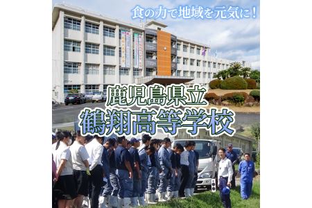 鶴翔高校「3年A組の」豚味噌仕込(100g×12缶) 豚みそ ぶたみそ 大容量 鹿児島県産 阿久根市 国産 九州産 特産品 みそ 調味料 調理 料理 ごはん おかず 常温保存【公益財団法人阿久根市美しい海のまちづくり公社】akn032-01