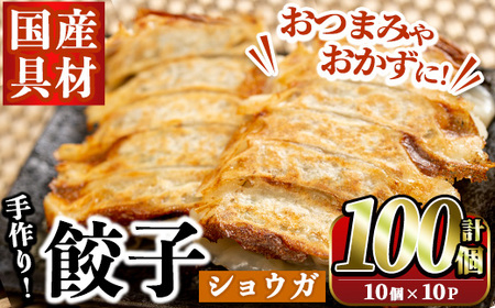 国産豚肉使用!手作りショウガ餃子(計100個・10個×10パック、たれ付き) 餃子 ぎょうざ ギョウザ ギョーザ しょうが 生姜 豚肉 おかず お惣菜【スーパーよしだ】akn058-07
