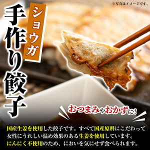 国産豚肉使用!手作りショウガ餃子(計100個・10個×10パック、たれ付き) 餃子 ぎょうざ ギョウザ ギョーザ しょうが 生姜 豚肉 おかず お惣菜【スーパーよしだ】akn058-07