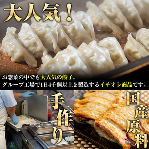 国産豚肉使用!手作りショウガ餃子(計100個・10個×10パック、たれ付き) 餃子 ぎょうざ ギョウザ ギョーザ しょうが 生姜 豚肉 おかず お惣菜【スーパーよしだ】akn058-07