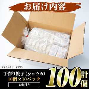 国産豚肉使用!手作りショウガ餃子(計100個・10個×10パック、たれ付き) 餃子 ぎょうざ ギョウザ ギョーザ しょうが 生姜 豚肉 おかず お惣菜【スーパーよしだ】akn058-07