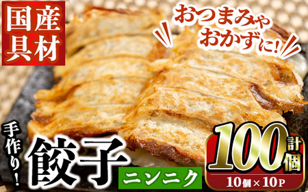 国産豚肉使用！手作りニンニク餃子(計100個・10個×10パック)国産 ギョウザ ぎょうざ お肉 にんにく おかず 惣菜 おつまみ【スーパーよしだ】a-12-113-z