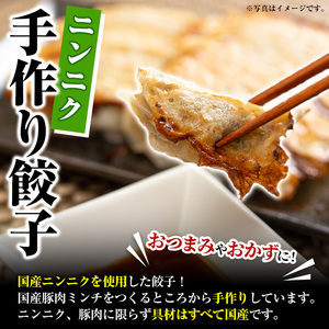 国産豚肉使用！手作りニンニク餃子(計100個・10個×10パック)国産 ギョウザ ぎょうざ お肉 にんにく おかず 惣菜 おつまみ【スーパーよしだ】a-12-113-z