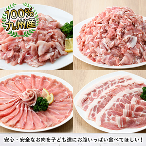 ＜定期便・全6回(偶数月)＞豚肉ウデモモ切り落とし(計18kg・1パック250g) 小分け 国産 豚肉 豚小間 真空パック 家庭用 豚こま 定期便 スライス 焼肉 BBQ 冷凍配送 個包装 切り落し 切落し すき焼き しゃぶしゃぶ セット 詰め合わせ 数量限定【三九】a-93-1-z