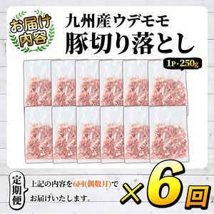 ＜定期便・全6回(偶数月)＞豚肉ウデモモ切り落とし(計18kg・1パック250g) 小分け 国産 豚肉 豚小間 真空パック 家庭用 豚こま 定期便 スライス 焼肉 BBQ 冷凍配送 個包装 切り落し 切落し すき焼き しゃぶしゃぶ セット 詰め合わせ 数量限定【三九】a-93-1-z