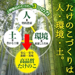【平日着】＜先行予約受付中！2026年3月上旬以降順次発送予定＞お刺身たけのこ(計1kg) 国産 鹿児島県産 朝採れ タケノコ 竹の子 筍 真空パック 野菜 春 旬【上野食品】akn008-06-A