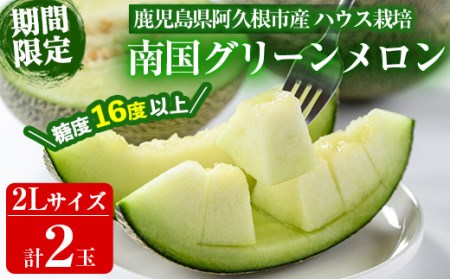 数量限定！鹿児島県産南国グリーンメロン(2Lサイズ×2個) 国産 果物 フルーツ ハウス栽培 期間限定【東新グリーンファーム合同会社】a-10-26