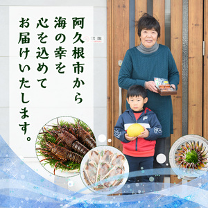 海藻「とさかのり」(50g×8袋)国産 鹿児島県産 海藻 おかず 料理 小分け 個包装 乾物【福美丸水産】akn033-02