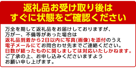 ＜先行予約受付中！2025年3月中旬以降発送予定＞数量限定！鹿児島県産紅甘夏(16個・2L)柑橘 フルーツ 果物 国産 みかん 期間限定【株式会社イロドリ】a-10-44-z