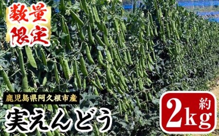 ＜先行予約受付中！2025年4月上旬以降順次発送予定＞鹿児島県産！阿久根市の実えんどう(2kg) 旬 国産 豆 マメ 野菜 実エンドウ セット 詰め合わせ 数量限定 期間限定【黒坂青果】a-12-185-z