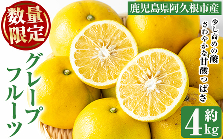 ＜先行予約受付中！2026年2月以降順次発送＞数量限定！グレープフルーツ(約4kg)国産 果実 果物 フルーツ 柑橘 デザート 期間限定【桐野柑橘株式会社】akn070-04