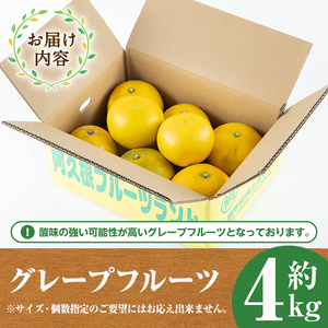 ＜先行予約受付中！2026年2月以降順次発送＞数量限定！グレープフルーツ(約4kg)国産 果実 果物 フルーツ 柑橘 デザート 期間限定【桐野柑橘株式会社】akn070-04