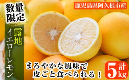 数量限定！露地マイヤーイエローレモン(5kg) 国産 檸檬 イエローレモン オレンジ 果実 果物 フルーツ 柑橘【桐野柑橘株式会社】akn070-11