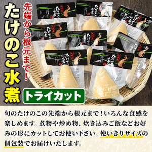 たけのこ水煮トライカット8袋(計800g・100g×8袋) 国産 九州産 筍 野菜 使い切り 小分け 個包装【上野食品】akn008-11