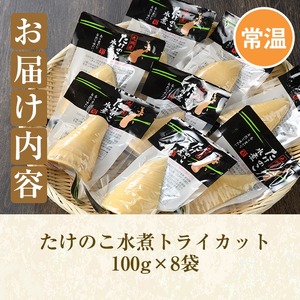 たけのこ水煮トライカット8袋(計800g・100g×8袋) 国産 九州産 筍 野菜 使い切り 小分け 個包装【上野食品】akn008-11