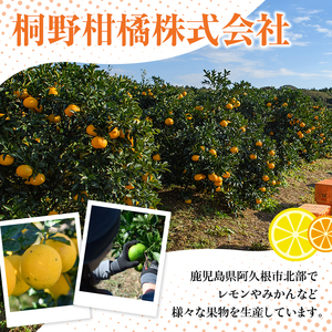 数量限定！スイートスプリング(グリーン)(5kg)国産 みかん 果物 フルーツ 柑橘 ミカン 期間限定【桐野柑橘株式会社】akn070-05