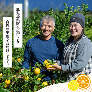 数量限定！スイートスプリング(グリーン)(5kg)国産 みかん 果物 フルーツ 柑橘 ミカン 期間限定【桐野柑橘株式会社】akn070-05